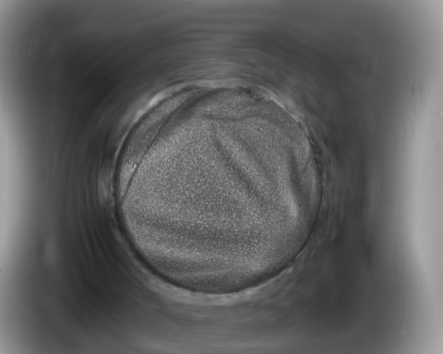 X0000086240002200704121942