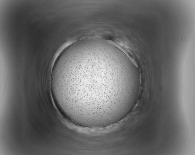 X0000086240003200704121942