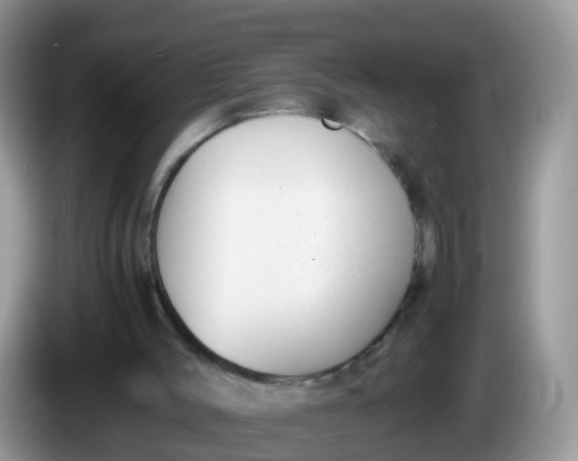 X0000086240004200704121942