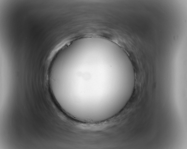 X0000086240005200704121942