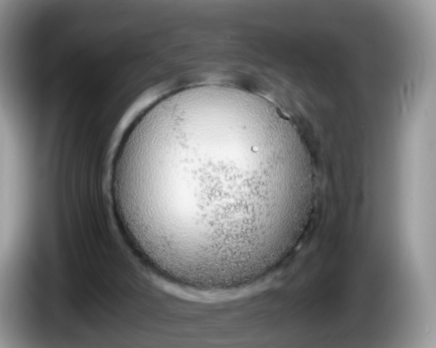 X0000086240006200704121942