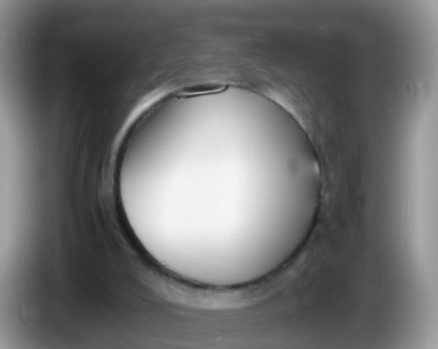 X0000086240008200704121942