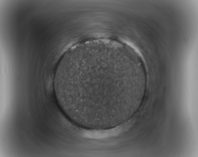 X0000086240009200704121942