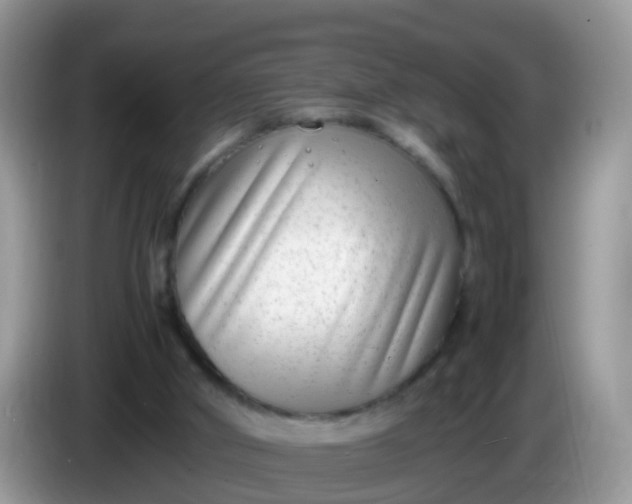 X0000086240010200704121942