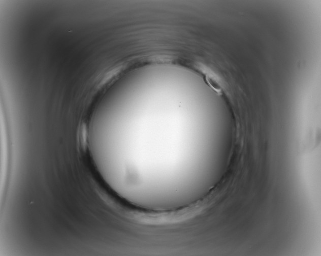X0000086240013200704121942