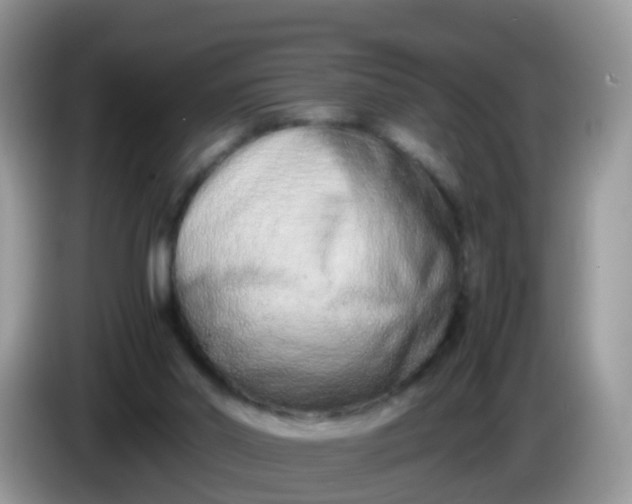 X0000086240014200704121942