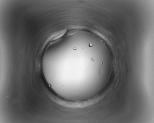 X0000086240015200704121942