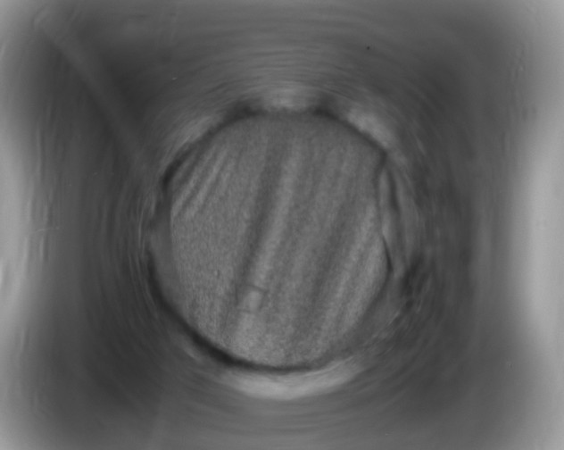 X0000086240017200704121942