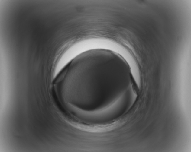 X0000086240019200704121941