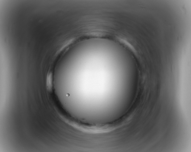 X0000086240020200704121941