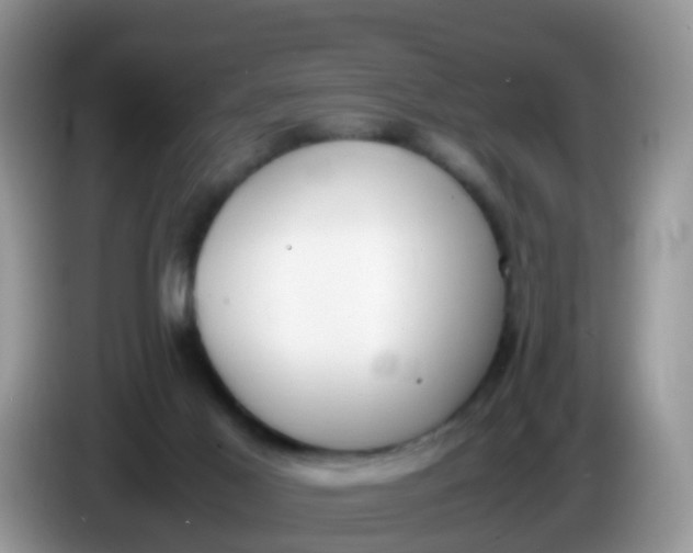 X0000086240021200704121941
