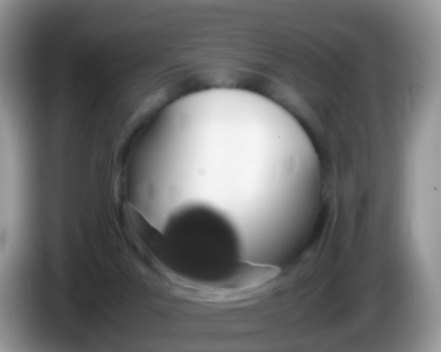 X0000086240023200704121941