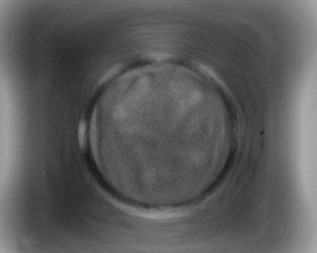 X0000086240024200704121941