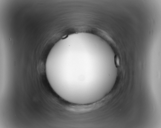 X0000086240025200704121941