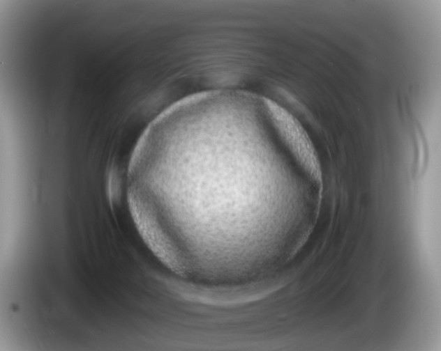 X0000086240026200704121941