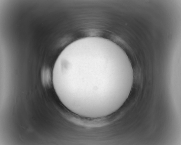 X0000086240028200704121941