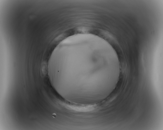 X0000086240036200704121941