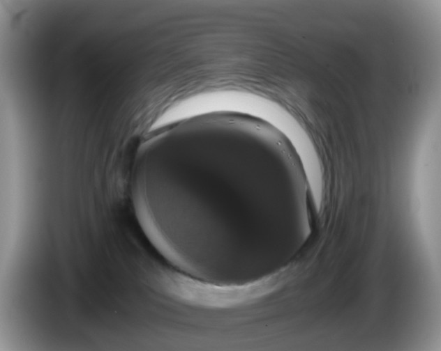 X0000086240039200704121941