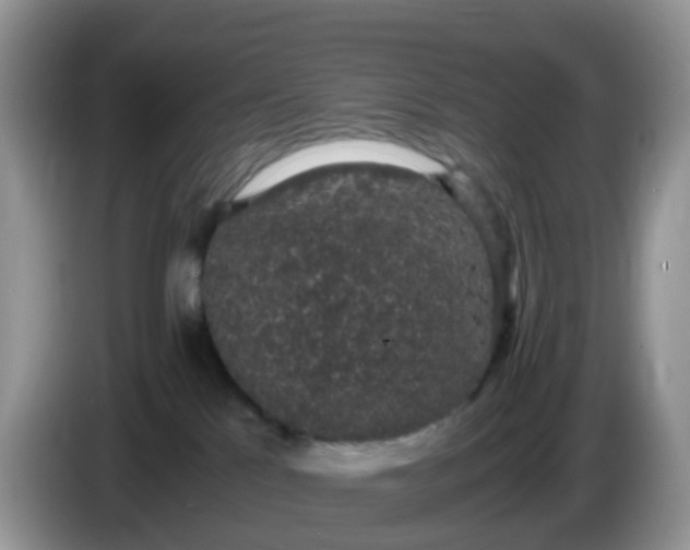X0000086240041200704121941