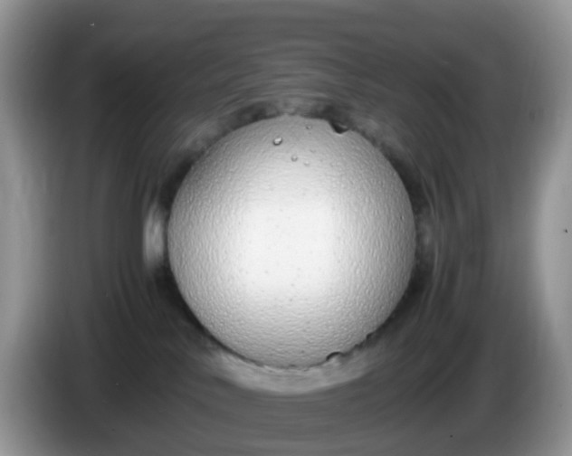 X0000086240042200704121941