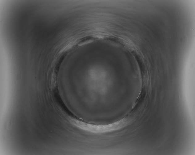 X0000086240043200704121941