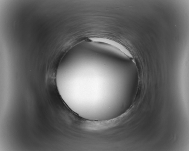 X0000086240045200704121941
