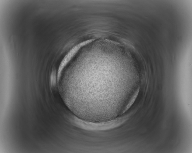 X0000086240046200704121941