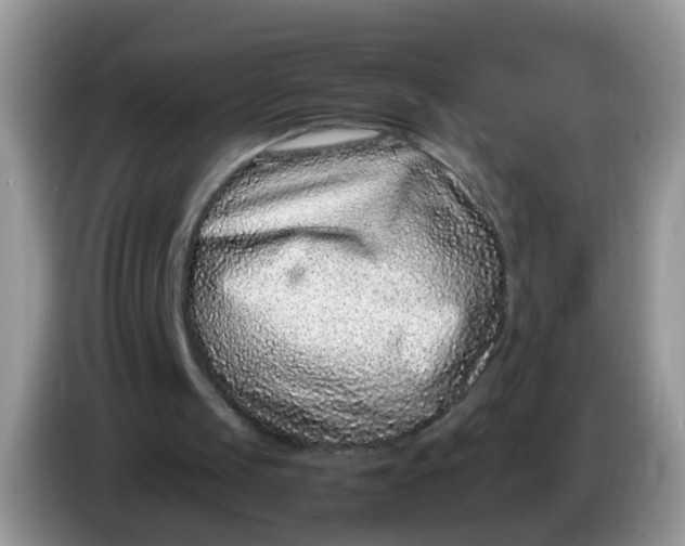 X0000086240049200704121941