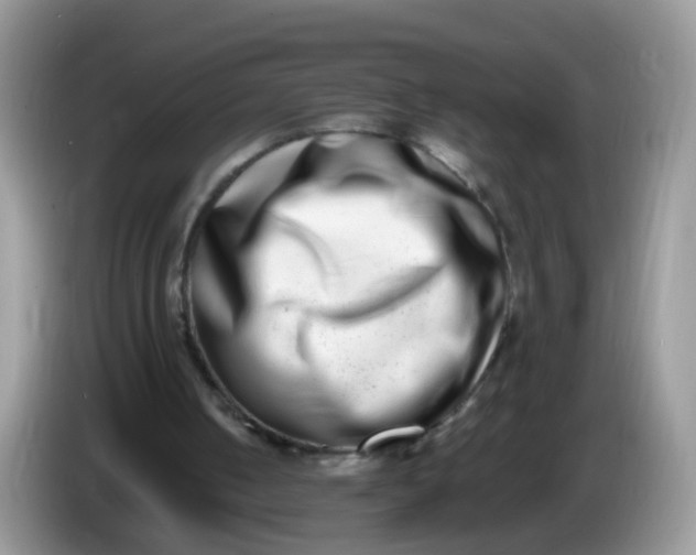 X0000086240050200704121941