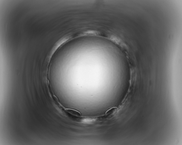 X0000086240051200704121941