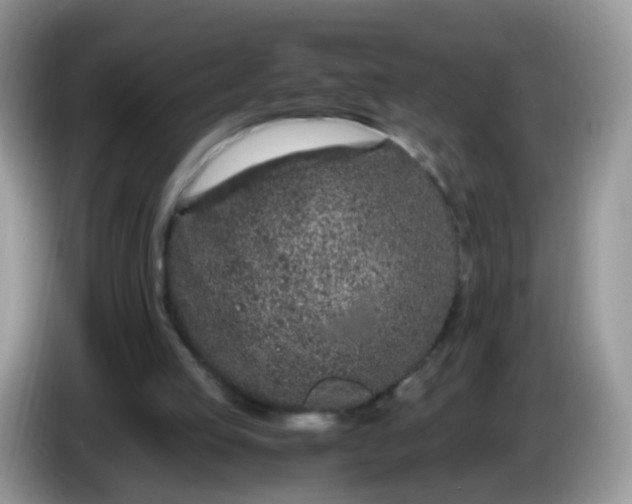 X0000086240053200704121941