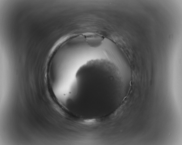 X0000086240054200704121941