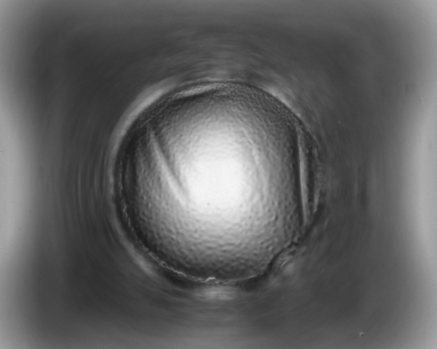 X0000086240055200704121941