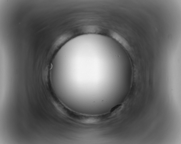 X0000086240058200704121941
