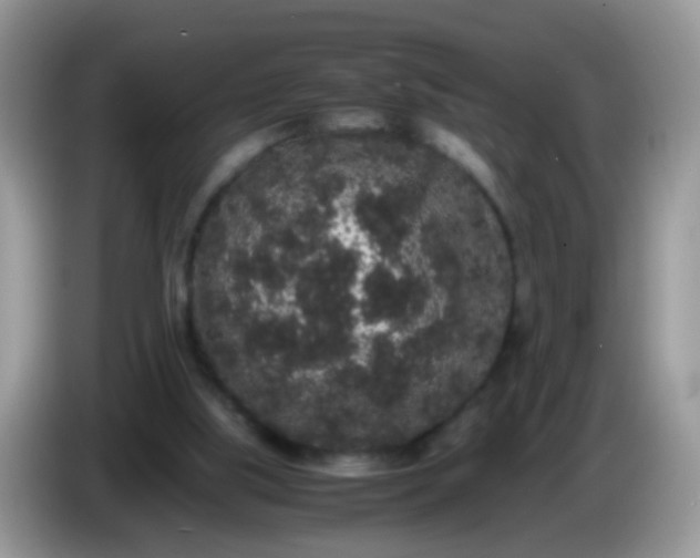 X0000086240059200704121941