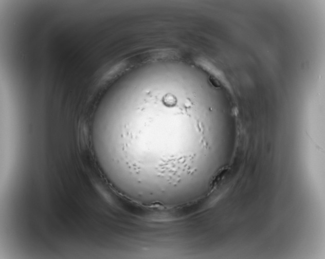 X0000086240061200704121941