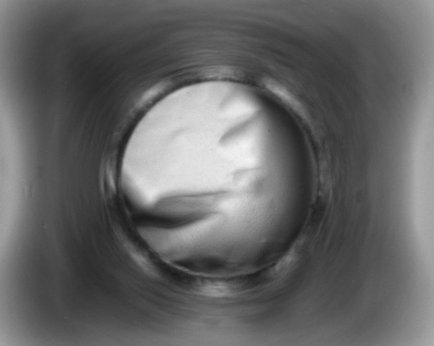 X0000086240062200704121941