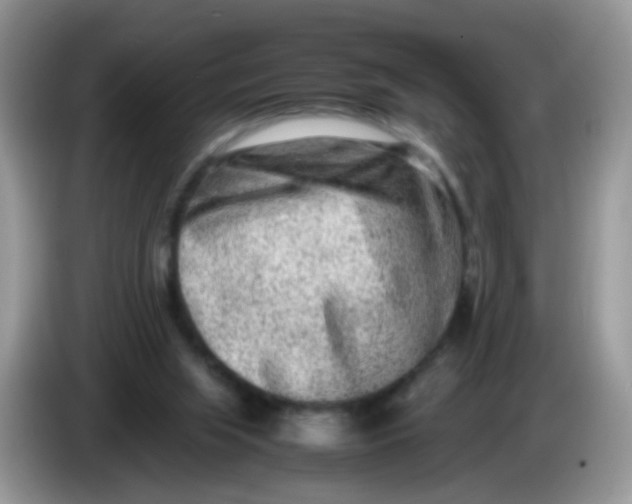 X0000086240063200704121941