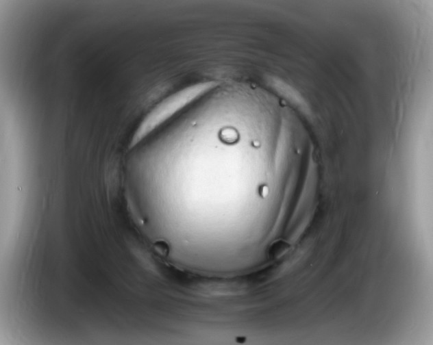X0000086240065200704121941