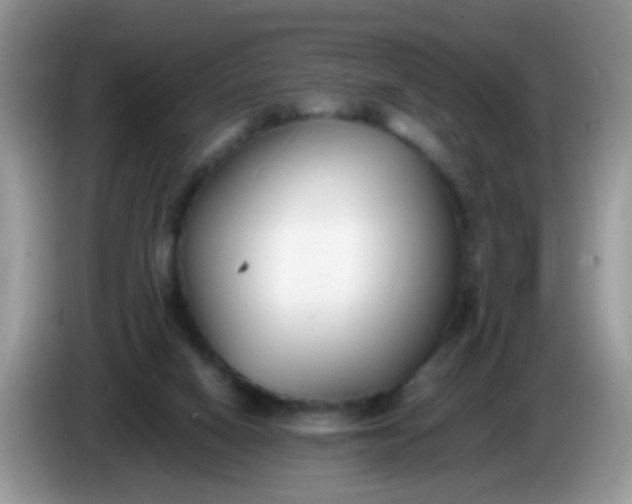 X0000086240066200704121941