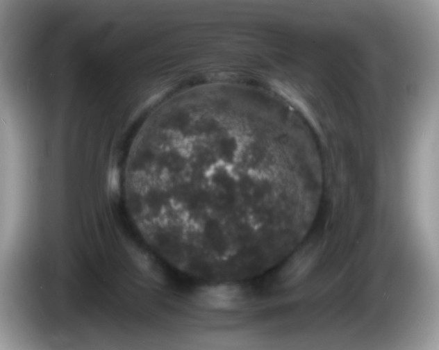 X0000086240067200704121941