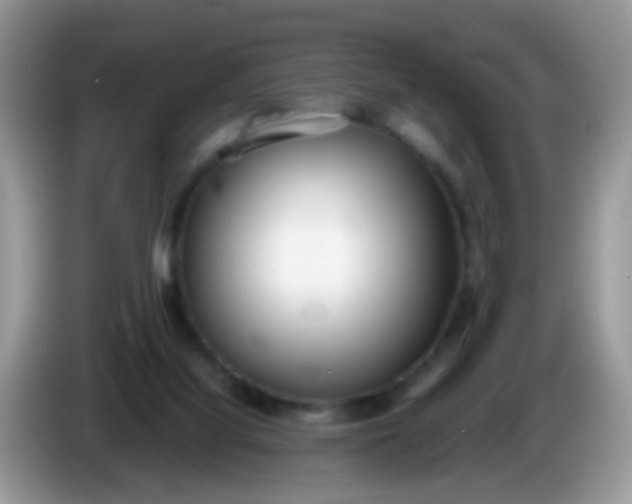 X0000086240068200704121941