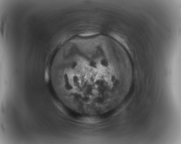 X0000086240069200704121941