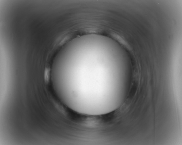 X0000086240070200704121941