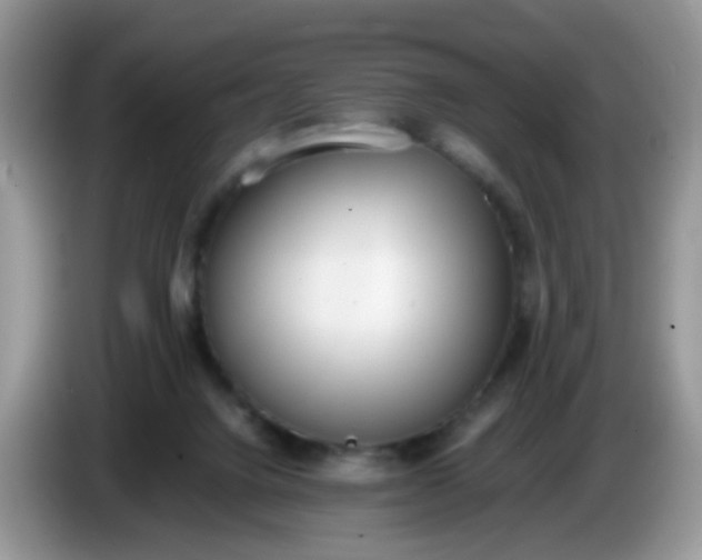 X0000086240072200704121941