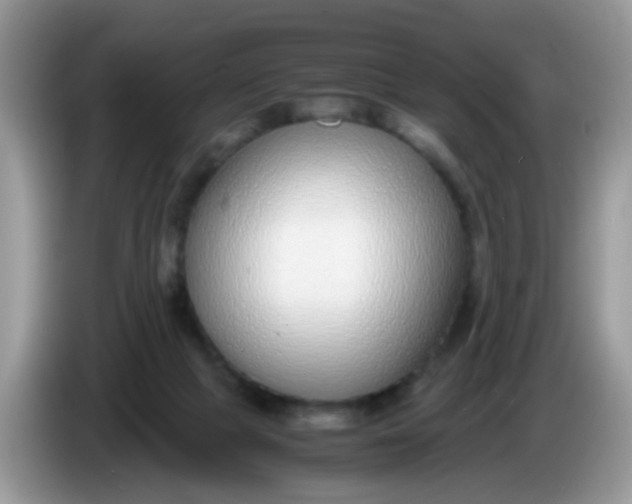 X0000086240073200704121941