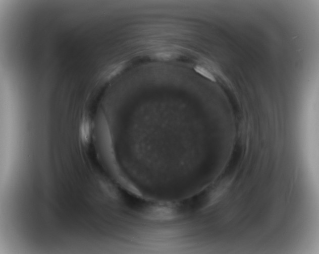 X0000086240076200704121941