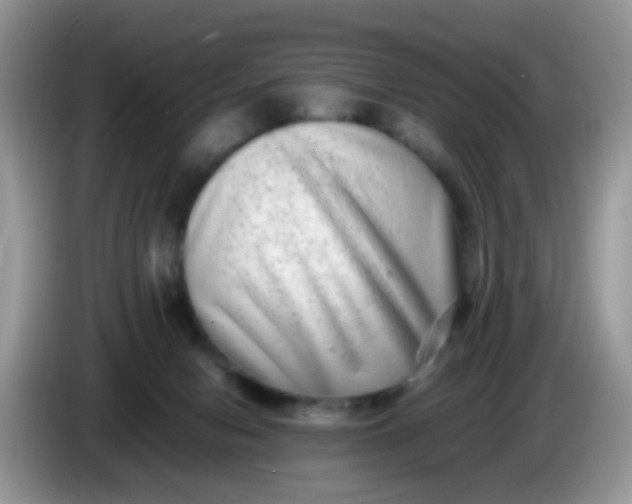X0000086240078200704121941