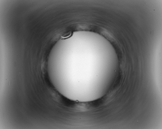 X0000086240079200704121941