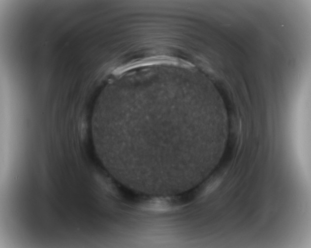 X0000086240080200704121941